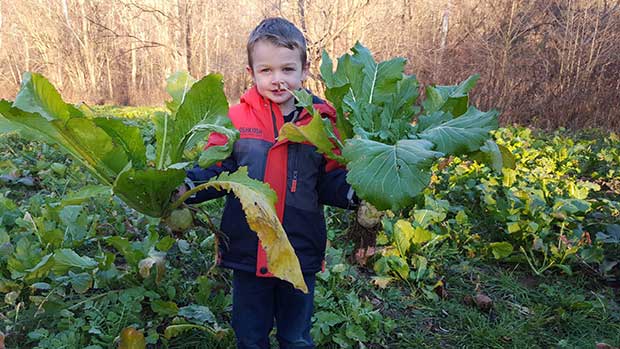 Little boy holding plants on SOO food plot