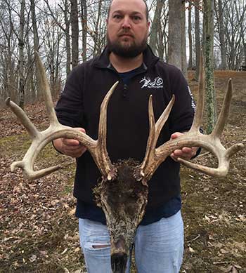 Deer skull found tangled up in fenching