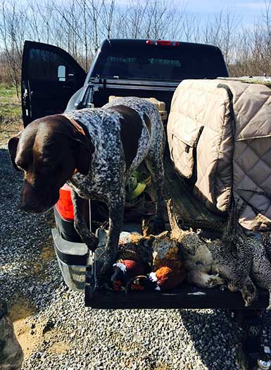 Upland Bird Hunters John Crane and Brian Runyon