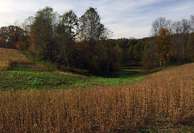 About Your Hunt land photo