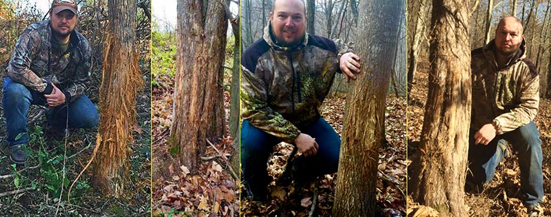 Rubbings on SOO trees