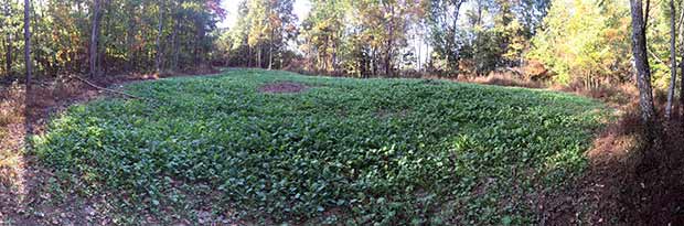 SOO Food Plots