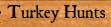 SOO Turkey Hunts
