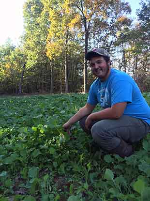 SOO Food Plot showing plants