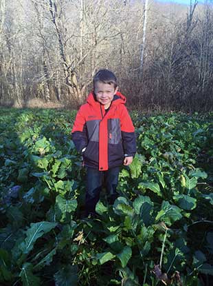 Boy with SOO food plot