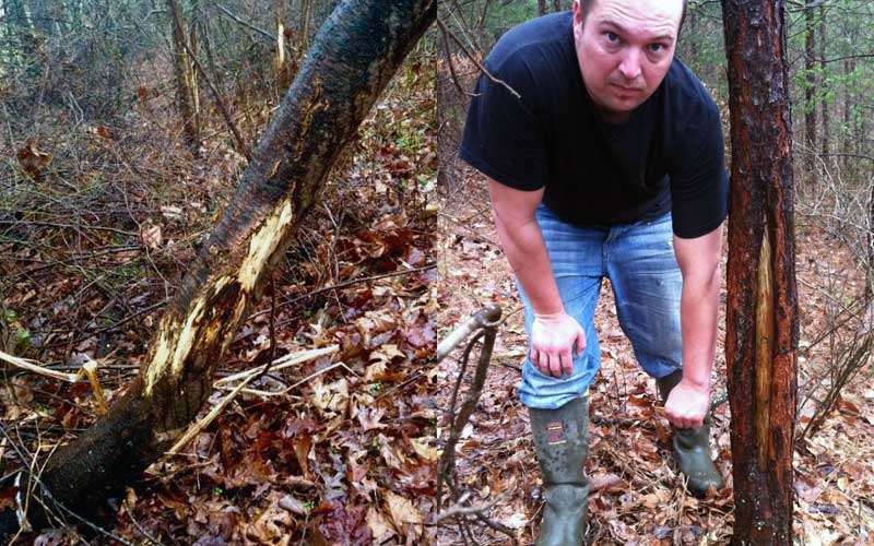 Rubbings on SOO trees