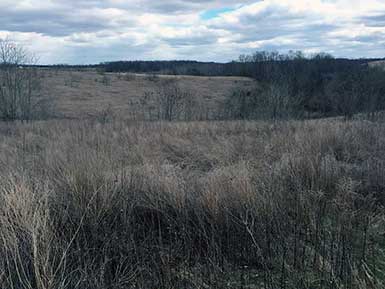 SOO Upland Bird Hunts