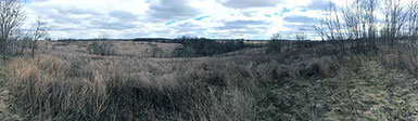 SOO Upland Bird Hunts