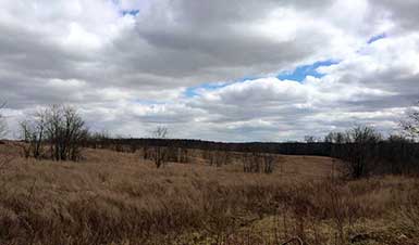 SOO Upland Bird Hunts