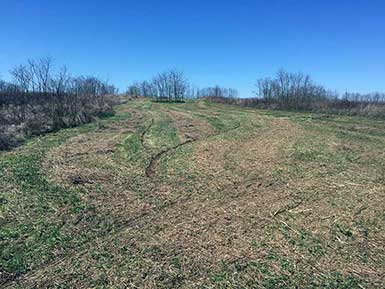 SOO Upland Bird Hunts