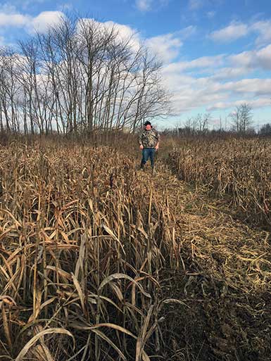 SOO Upland Bird Hunts