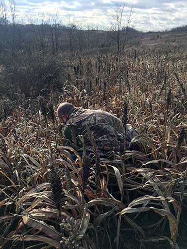 SOO Upland Bird Hunts