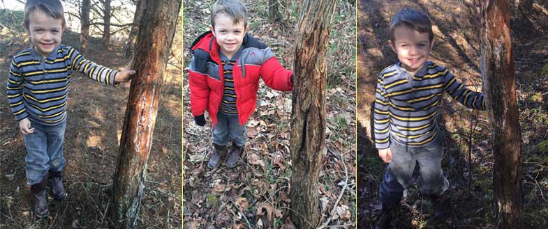 Boy with deer tree rubs