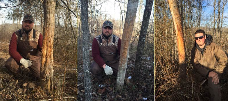 Boy with deer tree rubs