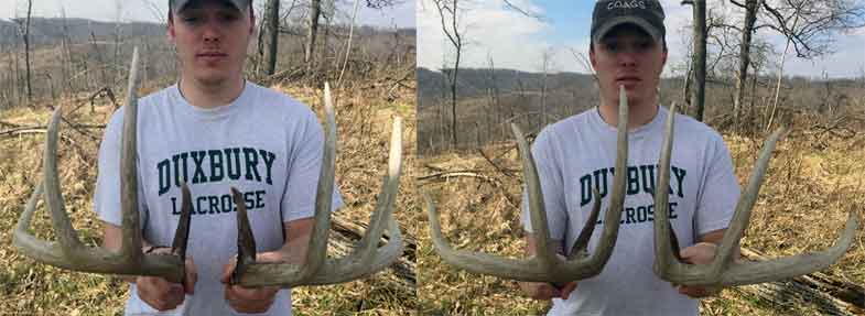 Man holding shed deer antlers