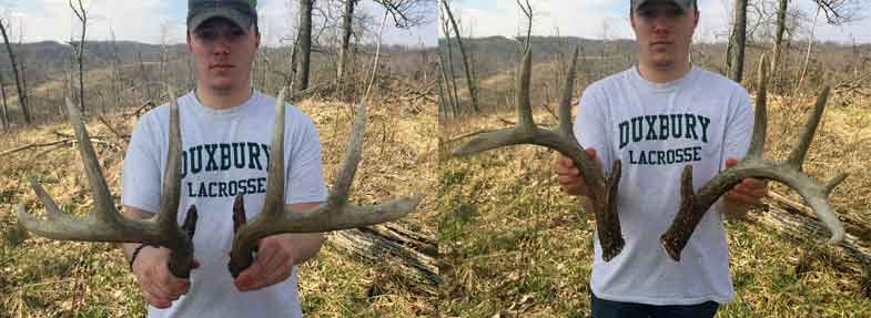 Man holding shed deer antlers