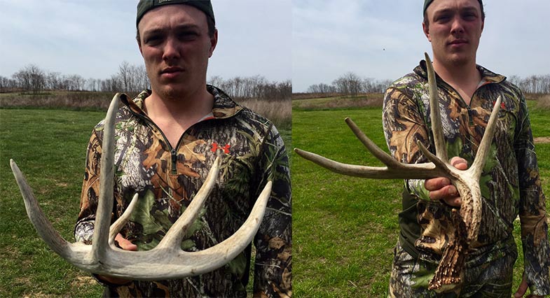 Shed Deer Antlers from Southern Ohio Outfitters