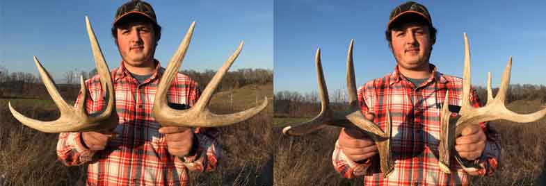 Shed Deer Antlers from Southern Ohio Outfitters