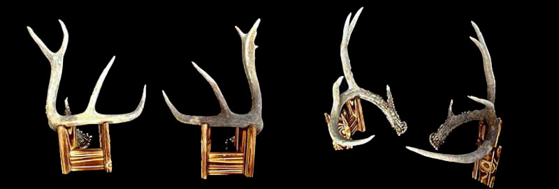 SOO Shed Antler set