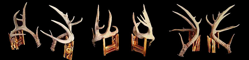 SOO Shed Antler set