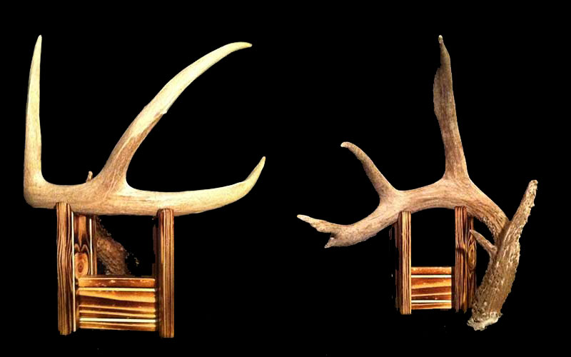 SOO Shed Antler singles