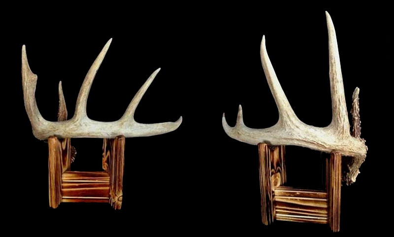 SOO Shed Antler singles