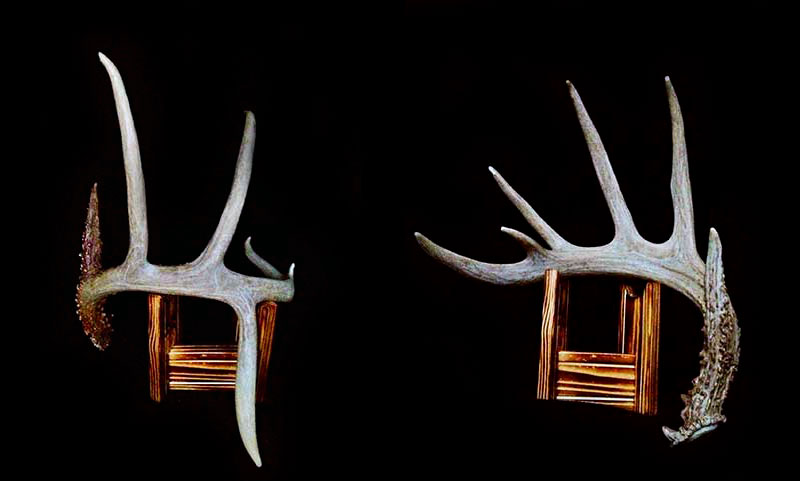 SOO Shed Antler singles